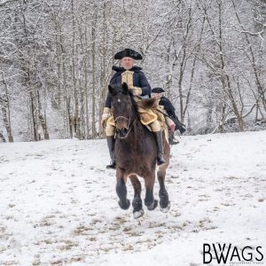 My Horse in the Snow