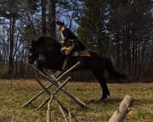 Backyard Horse Enthusiast